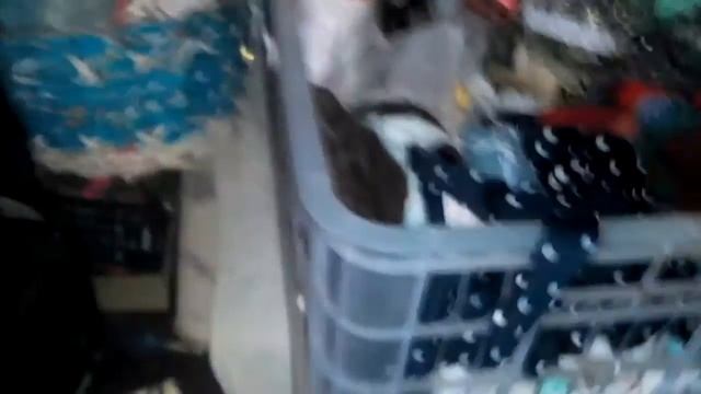 Мои цветочки и заготовки для поделок .Шапочка для куколки !!! смотреть онлайн