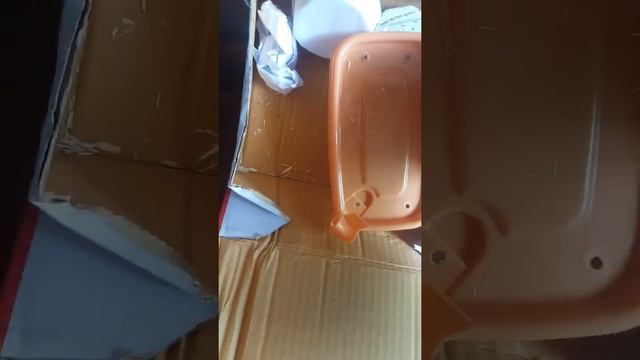 Unboxing Ball Python Morph : Butter Female смотреть онлайн