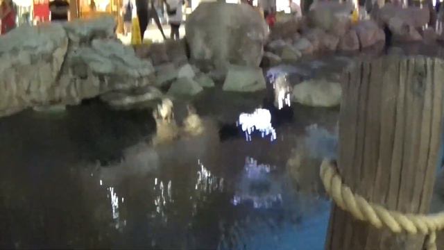 LAS VEGAS VLOG PT.2 | DAY 2-6 смотреть онлайн