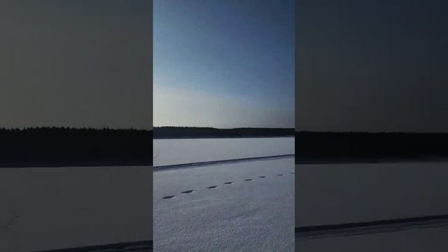 Природа-Мать наша 🪐🌐 р.Северная Сосьва. Откуда Он там взялся??? смотреть онлайн