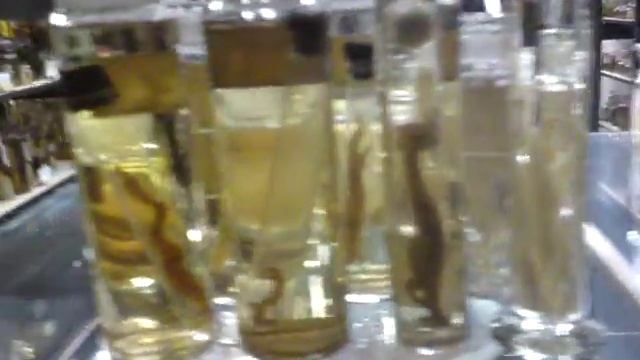 Naturkundemuseum-berlin (Alkohol-Forschungssammlungen) смотреть онлайн
