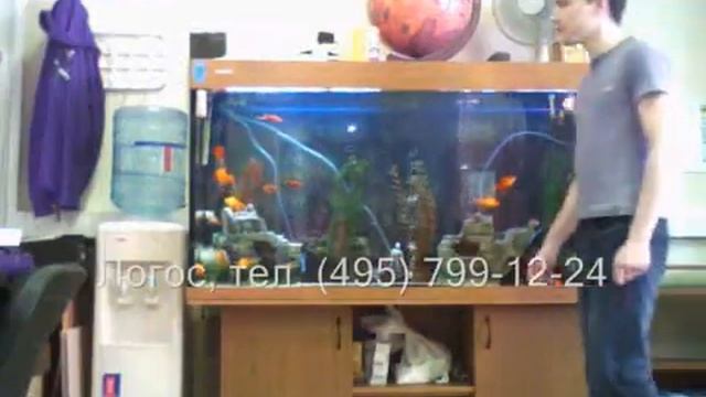 Автомобильная видеокамера DVR-006 смотреть онлайн