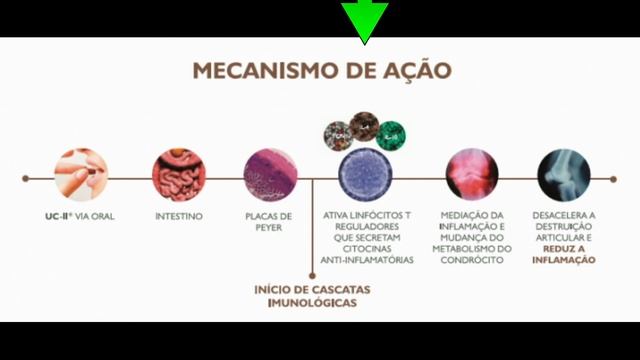 COLÁGENO TIPO II para ARTROSE DE JOELHO. Será que funciona? смотреть онлайн
