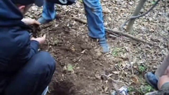 КЛАД!!! НАШЕЛ КЛАДУХУ ПОД СТАРЫМ ДЕРЕВОМ!!! ЭТОТ СИГНАЛ ИЗМЕНИЛ ВСЁ!!!