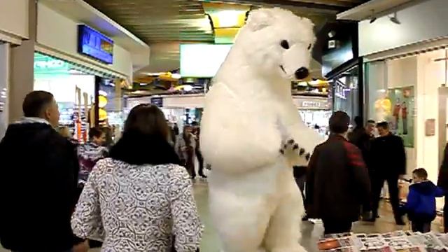 ТРЦ Глобал, Житомир. Умка на охоте:) смотреть онлайн