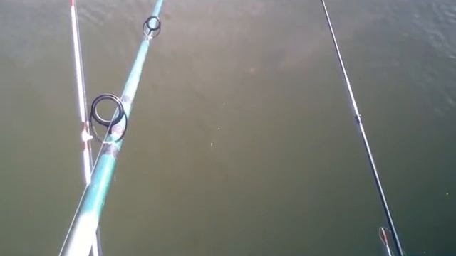 Рыбалка на Беловском море смотреть онлайн