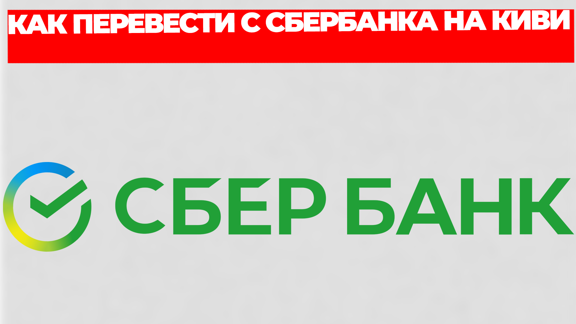 Всезнающий Енот