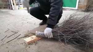 Метла из дерезы: проще простого