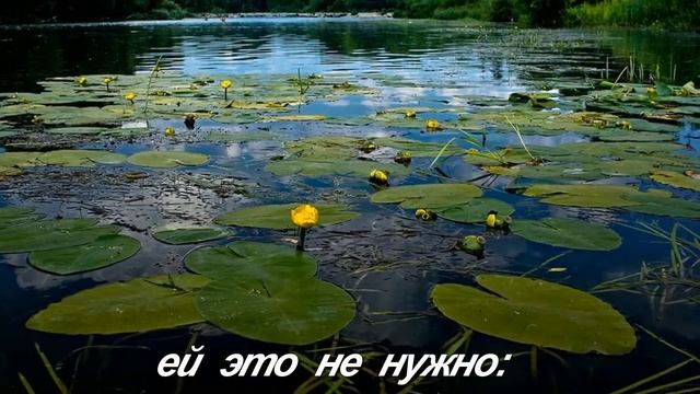 КУВШИНКА. Цветочный гороскоп. смотреть онлайн