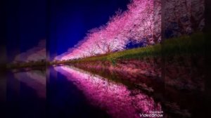 Цыганская полька