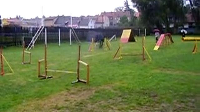 Nase prvni agility soutez смотреть онлайн