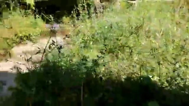Питьевая вода вторую неделю заливает улицы юга Волгограда смотреть онлайн