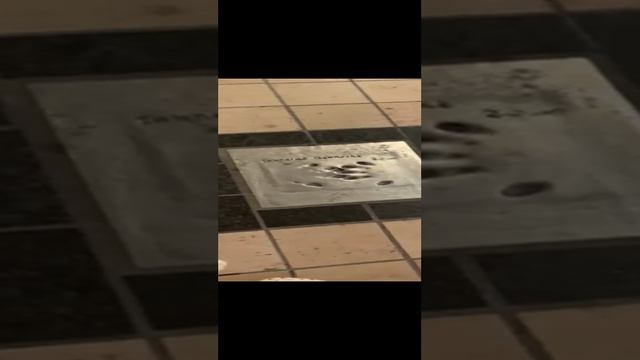 Аллея ЗВЁЗД в Каннах лето 2023 год