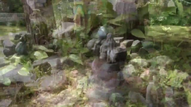 г. Светлогорск Калининградская область