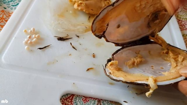 How to get pearl from pearl Oyster || മുത്തുച്ചിപ്പിയിൽ നിന്ന് മുത്ത് എടുക്കുന്നത് കണ്ടിട്ടുണ്ടോ смотреть онлайн