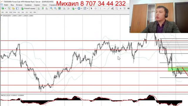 01.03 Обзор рынка на неделю. смотреть онлайн