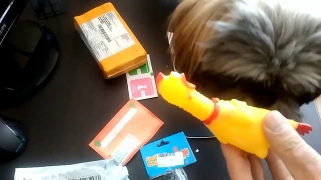 Стекло на Lenovo A536,Контейнер на mini PowerBank,Курица Кричащая для Собаки смотреть онлайн