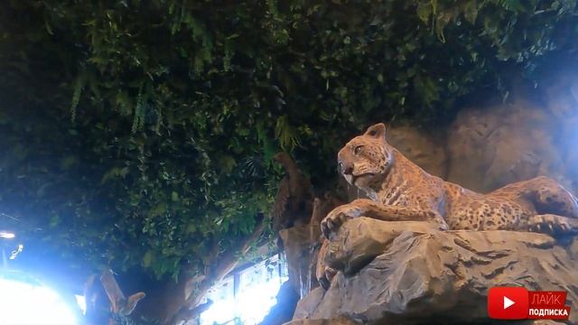 Арсений в экзотариуме / парк "Лога" / Куда пойти с ребенком ??????️??? смотреть онлайн