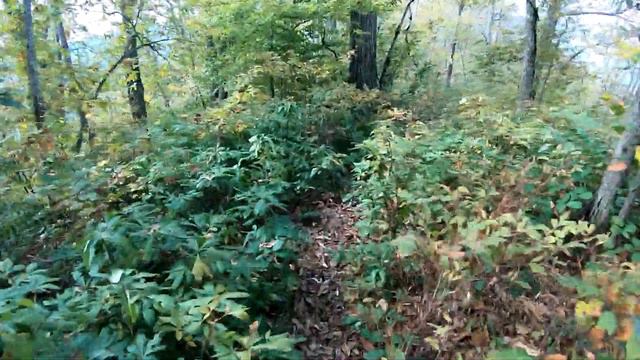 MTB Riding ridge Alek in Sochi смотреть онлайн