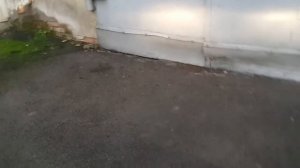 фары hll китайский евросвет за 2000р