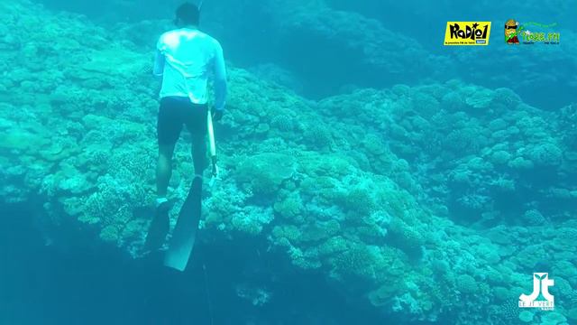 1155 Que savez vous de l'atoll de Scilly смотреть онлайн