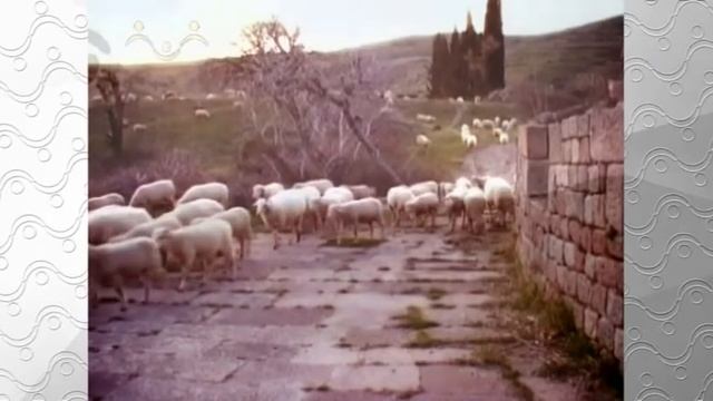 Закон Божий. Первое миссионерское путешествие апостола Павла 1 смотреть онлайн