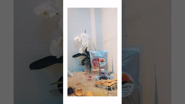 Эксперимент с сухофруктами на наличие Е220 (диоксид серы)