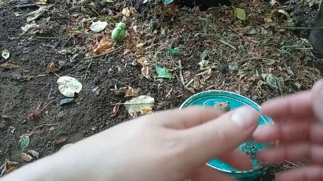 КОРМУШКА НА ЛЕЩА, ЗА КОТОРУЮ НЕ ЦЕПЛЯЮТСЯ КРЮЧКИ ? КОРМУШКА-ЯКОРЬ 2 в 1 для ловли с лодки смотреть онлайн