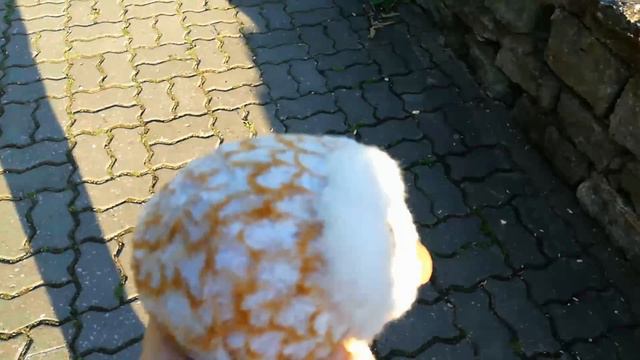 Сипуха налли на вечернем прогулке! смотреть онлайн