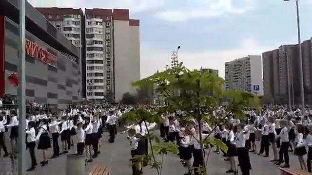 Флешмоб в Жулебино смотреть онлайн