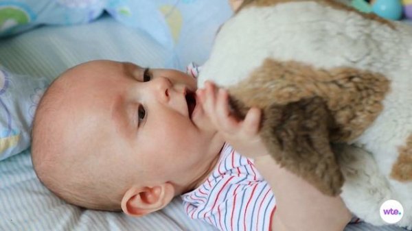 Five-Month-Old Baby - What to Expect