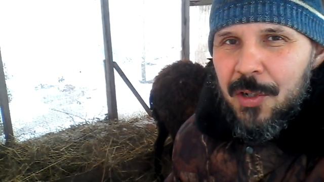 Комп накрылся// Из города в деревню смотреть онлайн