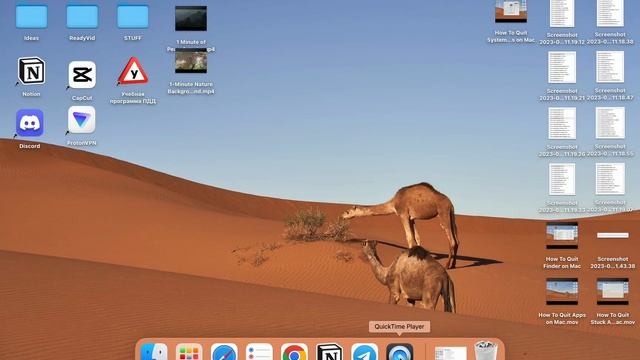 How To Update QuickTime Player on Mac смотреть онлайн