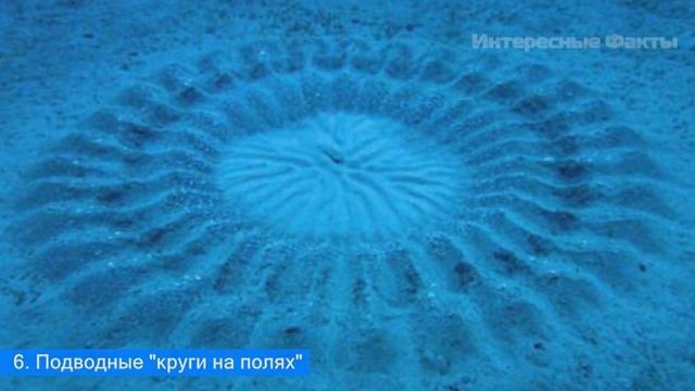 Подводные пирамиды размером с Египетские!