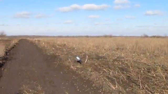 Настоящий кубанский чернозем - вид с центральной улицы смотреть онлайн