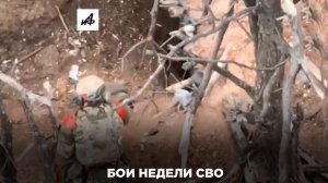 Бои недели СВО. Самые заметные кадры