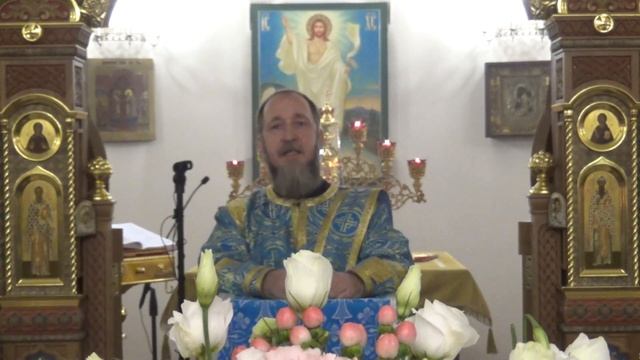 Проповедь отца Илии. 14 октября 2023 года. смотреть онлайн