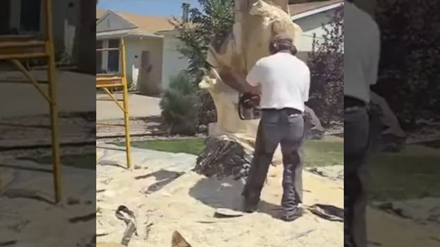 Прикольно ( из ствола дерева в ....) смотреть онлайн