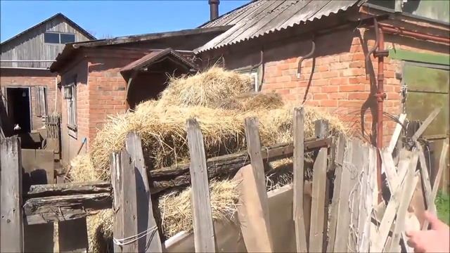 Коровы в антисанитарных условиях на подворье в Ростовской области смотреть онлайн