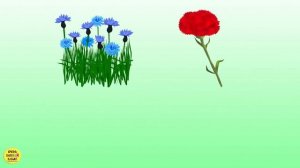 Сборник цветные яйца с сюрпризами.  Развивающий мультик для малышей