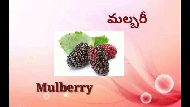 Names Of Fruits In English & Telugu/పండ్లు వాటి పేర్లు@lightningminds1