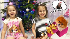 Дети раскрыли секрет и нашли Sweet Pups  Алина и Юляшка идут на Алису