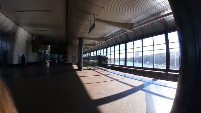 Москва-сити\Смотровая площадка\Московский зоопарк\ vlog путешественника #29 смотреть онлайн