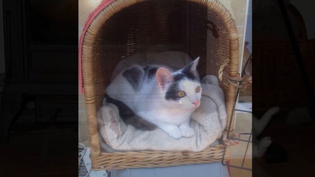 Rzuciłbym to wszystko смотреть онлайн