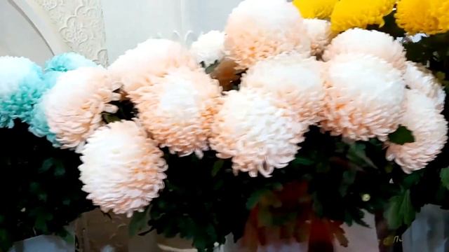 Хризантемы Симферополь | Доставка круглосуточно | Rose by Gentleman смотреть онлайн
