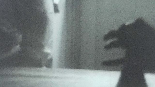 свадьба и выкуп невесты.MP4 смотреть онлайн