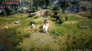 Black Desert: спот лошадей в Двенкруне