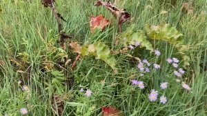 Vitim River, Siberia  Сплав по реке Витим 2023