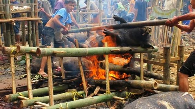 Unique Ritual Traditional Papua 