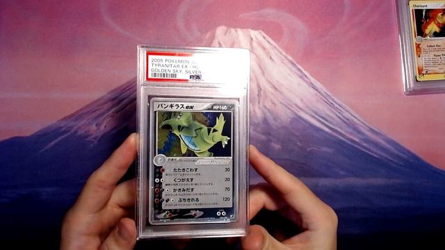 PSA Returns: Vintage Pokemon EX and DP Era Holos | Value Tier 2022 смотреть онлайн